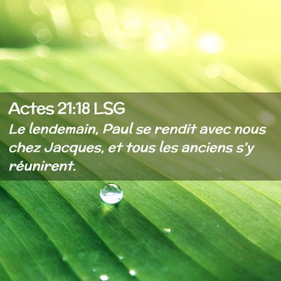 Picture 02 - Actes 21:18 LSG - Le lendemain, Paul se rendit avec nous chez - Bible Verse Picture
