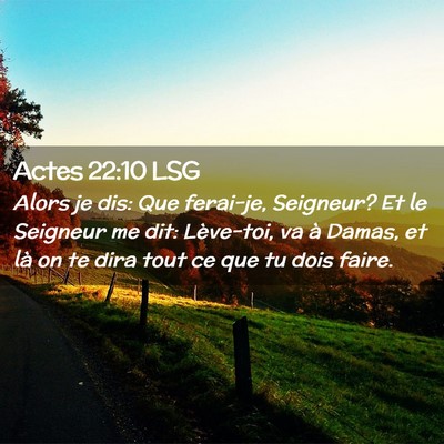 Picture 02 - Actes 22:10 LSG - Alors je dis: Que ferai-je, Seigneur? Et le - Bible Verse Picture