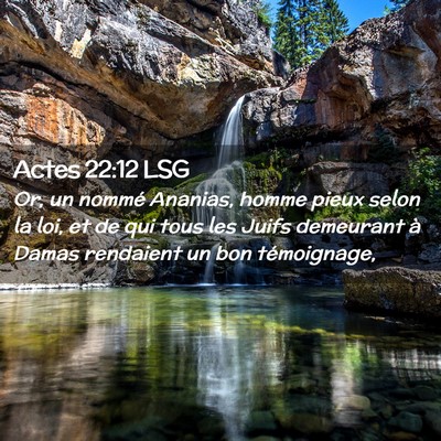 Picture 02 - Actes 22:12 LSG - Or, un nommé Ananias, homme pieux selon la loi, - Bible Verse Picture