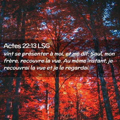 Picture 02 - Actes 22:13 LSG - vint se présenter à moi, et me dit: Saul, mon - Bible Verse Picture