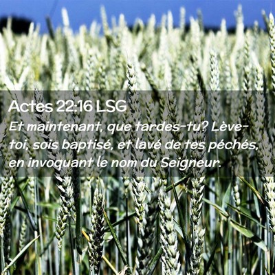 Picture 02 - Actes 22:16 LSG - Et maintenant, que tardes-tu? Lève-toi, sois - Bible Verse Picture