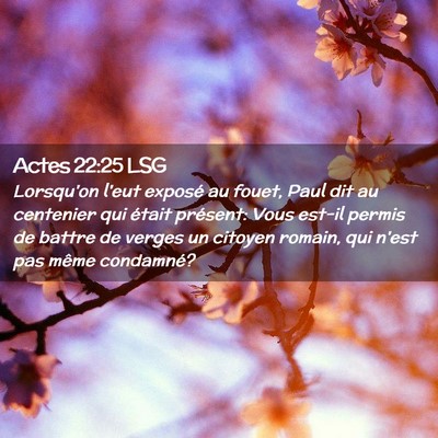 Picture 02 - Actes 22:25 LSG - Lorsqu'on l'eut exposé au fouet, Paul dit au - Bible Verse Picture