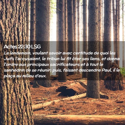 Picture 02 - Actes 22:30 LSG - Le lendemain, voulant savoir avec certitude de - Bible Verse Picture