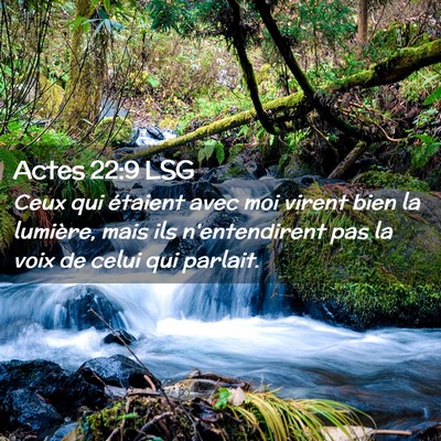 Picture 02 - Actes 22:9 LSG - Ceux qui étaient avec moi virent bien la - Bible Verse Picture