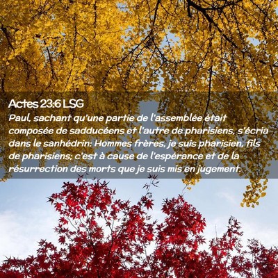 Picture 02 - Actes 23:6 LSG - Paul, sachant qu'une partie de l'assemblée - Bible Verse Picture