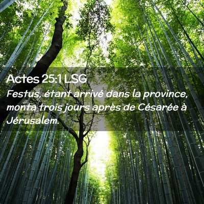 Picture 02 - Actes 25:1 LSG - Festus, étant arrivé dans la province, monta - Bible Verse Picture