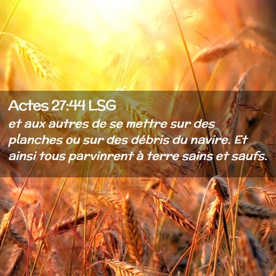 Picture 02 - Actes 27:44 LSG - et aux autres de se mettre sur des planches ou - Bible Verse Picture