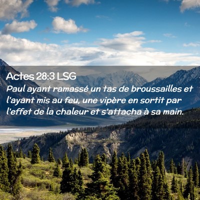 Picture 02 - Actes 28:3 LSG - Paul ayant ramassé un tas de broussailles et - Bible Verse Picture