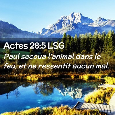 Picture 02 - Actes 28:5 LSG - Paul secoua l'animal dans le feu, et ne ressentit - Bible Verse Picture