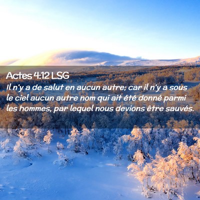 Picture 02 - Actes 4:12 LSG - Il n'y a de salut en aucun autre; car il n'y a - Bible Verse Picture