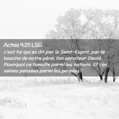Picture 02 - Actes 4:25 LSG - c'est toi qui as dit par le Saint-Esprit, par la - Bible Verse Picture