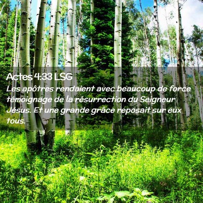 Picture 02 - Actes 4:33 LSG - Les apôtres rendaient avec beaucoup de force - Bible Verse Picture