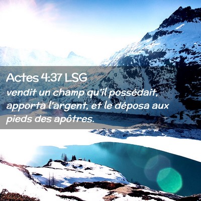 Picture 02 - Actes 4:37 LSG - vendit un champ qu'il possédait, apporta - Bible Verse Picture