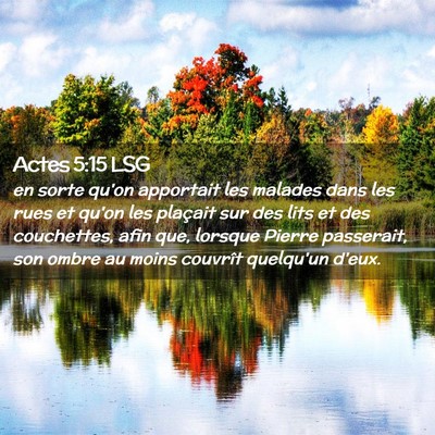 Picture 02 - Actes 5:15 LSG - en sorte qu'on apportait les malades dans les - Bible Verse Picture