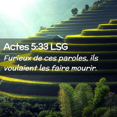 Picture 02 - Actes 5:33 LSG - Furieux de ces paroles, ils voulaient les faire - Bible Verse Picture