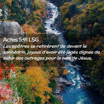 Picture 02 - Actes 5:41 LSG - Les apôtres se retirèrent de devant le - Bible Verse Picture
