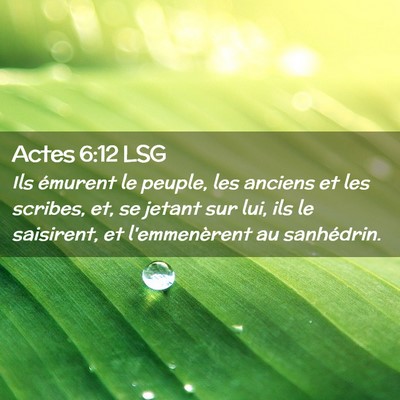 Picture 02 - Actes 6:12 LSG - Ils émurent le peuple, les anciens et les - Bible Verse Picture