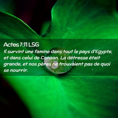 Picture 02 - Actes 7:11 LSG - Il survint une famine dans tout le pays d'Egypte, - Bible Verse Picture