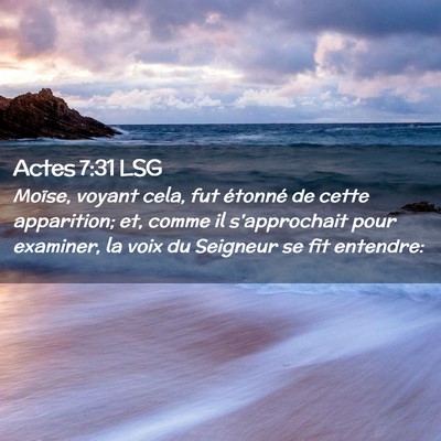 Picture 02 - Actes 7:31 LSG - Moïse, voyant cela, fut étonné de cette - Bible Verse Picture