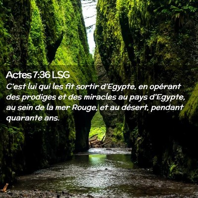 Picture 02 - Actes 7:36 LSG - C'est lui qui les fit sortir d'Egypte, en - Bible Verse Picture