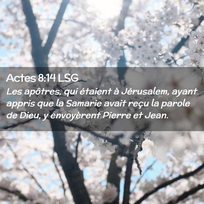 Picture 02 - Actes 8:14 LSG - Les apôtres, qui étaient à Jérusalem, ayant - Bible Verse Picture