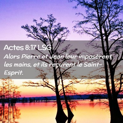 Picture 02 - Actes 8:17 LSG - Alors Pierre et Jean leur imposèrent les mains, - Bible Verse Picture