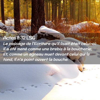 Picture 02 - Actes 8:32 LSG - Le passage de l'Ecriture qu'il lisait était - Bible Verse Picture