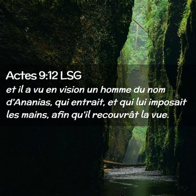 Picture 02 - Actes 9:12 LSG - et il a vu en vision un homme du nom d'Ananias, - Bible Verse Picture