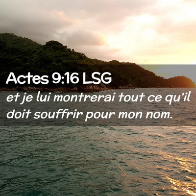 Picture 02 - Actes 9:16 LSG - et je lui montrerai tout ce qu'il doit souffrir - Bible Verse Picture