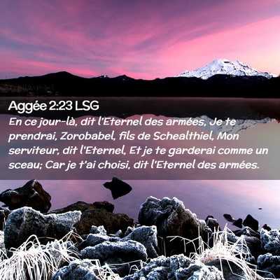 Picture 02 - Aggée 2:23 LSG - En ce jour-là, dit l'Eternel des armées, Je te - Bible Verse Picture