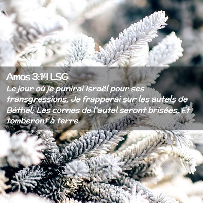 Picture 02 - Amos 3:14 LSG - Le jour où je punirai Israël pour ses - Bible Verse Picture