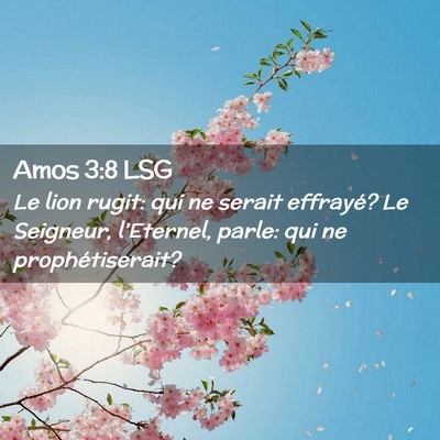 Picture 02 - Amos 3:8 LSG - Le lion rugit: qui ne serait effrayé? Le - Bible Verse Picture