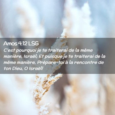 Picture 02 - Amos 4:12 LSG - C'est pourquoi je te traiterai de la même - Bible Verse Picture