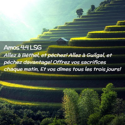 Picture 02 - Amos 4:4 LSG - Allez à Béthel, et péchez! Allez à Guilgal, - Bible Verse Picture