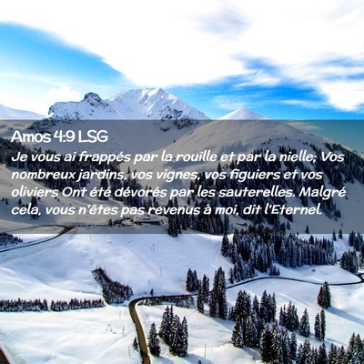 Picture 02 - Amos 4:9 LSG - Je vous ai frappés par la rouille et par la - Bible Verse Picture