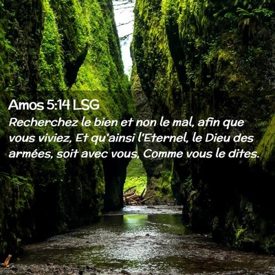 Picture 02 - Amos 5:14 LSG - Recherchez le bien et non le mal, afin que vous - Bible Verse Picture