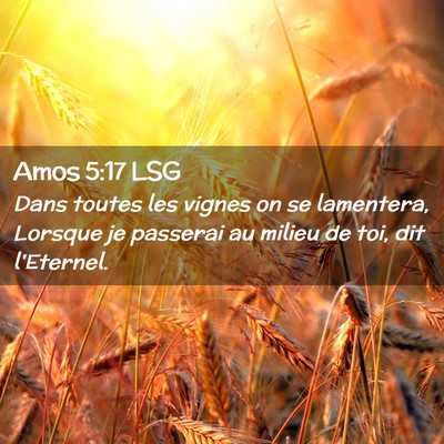 Picture 02 - Amos 5:17 LSG - Dans toutes les vignes on se lamentera, Lorsque - Bible Verse Picture