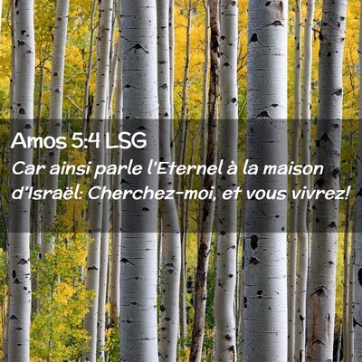 Picture 02 - Amos 5:4 LSG - Car ainsi parle l'Eternel à la maison d'Israël: - Bible Verse Picture