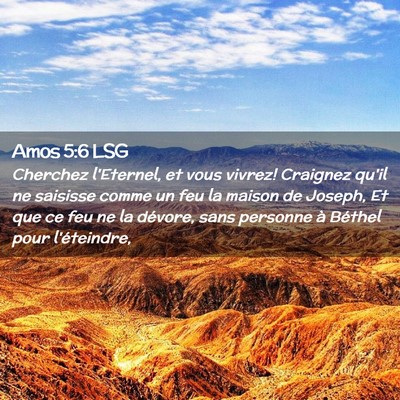 Picture 02 - Amos 5:6 LSG - Cherchez l'Eternel, et vous vivrez! Craignez - Bible Verse Picture