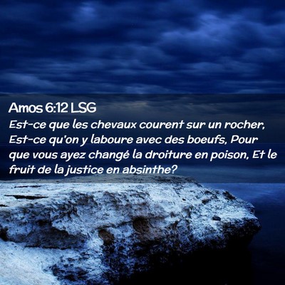 Picture 02 - Amos 6:12 LSG - Est-ce que les chevaux courent sur un rocher, - Bible Verse Picture