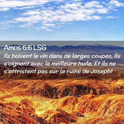 Picture 02 - Amos 6:6 LSG - Ils boivent le vin dans de larges coupes, Ils - Bible Verse Picture