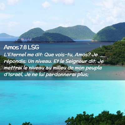 Picture 02 - Amos 7:8 LSG - L'Eternel me dit: Que vois-tu, Amos? Je - Bible Verse Picture
