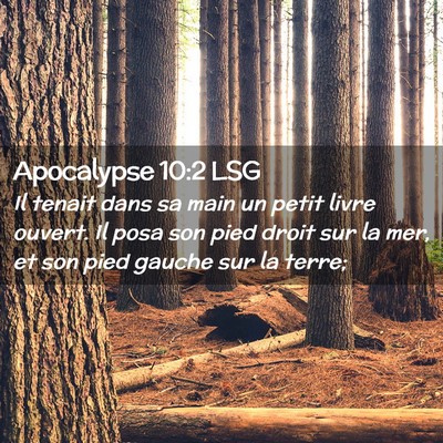 Picture 02 - Apocalypse 10:2 LSG - Il tenait dans sa main un petit livre ouvert. Il - Bible Verse Picture
