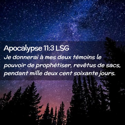 Picture 02 - Apocalypse 11:3 LSG - Je donnerai à mes deux témoins le pouvoir de - Bible Verse Picture