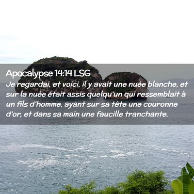 Picture 02 - Apocalypse 14:14 LSG - Je regardai, et voici, il y avait une nuée - Bible Verse Picture