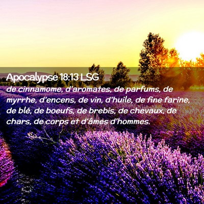 Picture 02 - Apocalypse 18:13 LSG - de cinnamome, d'aromates, de parfums, de myrrhe, - Bible Verse Picture