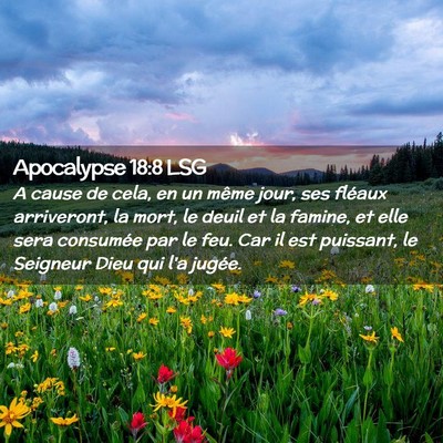 Picture 02 - Apocalypse 18:8 LSG - A cause de cela, en un même jour, ses fléaux - Bible Verse Picture