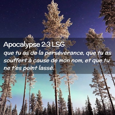 Picture 02 - Apocalypse 2:3 LSG - que tu as de la persévérance, que tu as - Bible Verse Picture