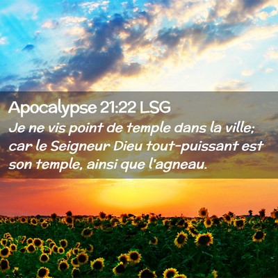 Picture 02 - Apocalypse 21:22 LSG - Je ne vis point de temple dans la ville; car le - Bible Verse Picture
