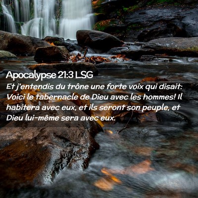 Picture 02 - Apocalypse 21:3 LSG - Et j'entendis du trône une forte voix qui - Bible Verse Picture